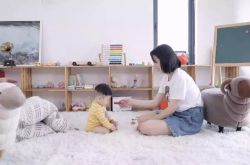 8分钟科普下!青岛 咨询_哔哩哔哩-3